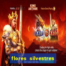 flores silvestres desbravadores desbravadores 25