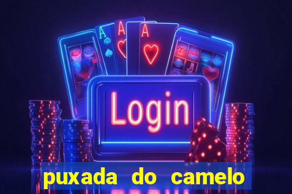 puxada do camelo jogo do bicho