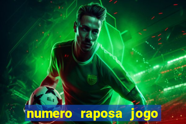 numero raposa jogo do bicho