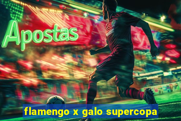 flamengo x galo supercopa