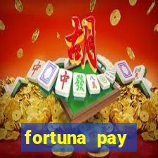 fortuna pay consultoria financeira ltda